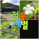 별보리스테이