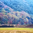 개울옆길 이미지