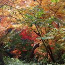 금강공원3 이미지