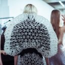 이리스(IRIS) 이미지