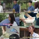 대창양봉