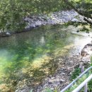 소담재 | 밀양표충사 계곡3-표충사입구 소담재펜션앞 스팟_가장추천