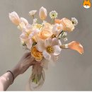 간식이모 | W18 메리드 하우스 웨딩 촬영 준비물 사용 후기 이모님 간식 추천 부케 셀프