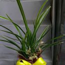 축산농협미래부연합사료 이미지