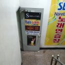 쿼즈(Quads)