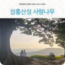 성흥로97번길 이미지