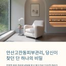 행복을 원하시나요? : 진정한 휘게의 비밀 | 안산고잔동피부샵 지현뷰티 당신이 찾던 단 하나의 비밀