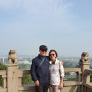 남경24시 이미지