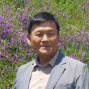 김일태 - 염화의 미소 외 이미지