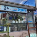 큰누야과메기