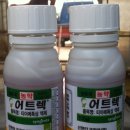 장진천길 이미지