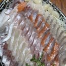 낭만사시미 이미지