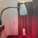 청담탑정형외과의원 이미지