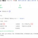 까멜리아 인구룡포