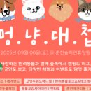 별빛멍냥 이미지