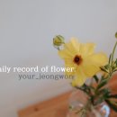 창원flower 네이버블로그