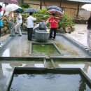 정읍시산외면종산보건진료소 | 전북의 속살 36 동진강 발원지 빈시암을 찾아서(Feat. 목욕리 선녀약수)