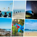 수루미민박 | 충남 보령 가볼만한 곳 | 기분 좋은 섬 여행, 보령 삽시도 둘레길