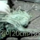 외계인휴게소