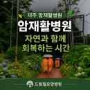 제주 암요양병원 암재활, 드림힐 요양병원에서 만난 에코랜드 곶자왈 숲길 오랜만에 꿀잠
