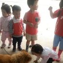 아지야 놀자 이미지