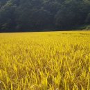 상촌정미소 이미지