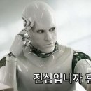 마리안 이미지
