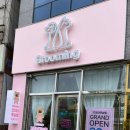 꼬미네 펫샬롱 애견미용 이미지