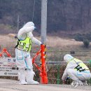 일파만파농장 이미지