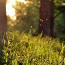 마중가는길 이미지