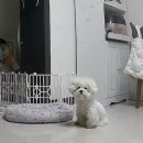 화니앤주 | 먹고 놀고 일하고 먹고 일하고 놀고