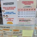 애견카페,애견유치원 멍선생 티스토리