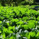 마현농장 이미지