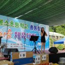 봉소초등학교 이미지