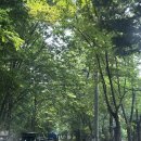 약수2농장 이미지