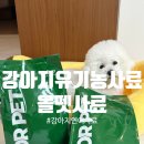 올펫 | 비숑 보호자가 선택한 올펫연어 유기농강아지사료 데일리 급여 솔직후기