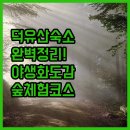 더블유(W)안마시술소 | 무주 덕유산 숙소 추천 리스트 위치 장점 후기 분석 야생화 도감 및 숲 체험 여행
