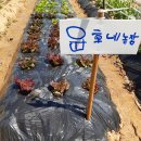 윤호농장 이미지