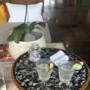 해피빌라 | [발리, 우붓] 마야 우붓 리조트앤스파 | 헤븐리 자쿠지 빌라 후기 (tree bar 해피아워 , 조식, 수영장)