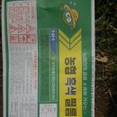 별량그린 이미지