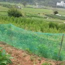 부춘농장 이미지