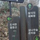 ﻿[전주여행] 완산공원 팔각정(겹 벚꽃 명소)......17 이미지