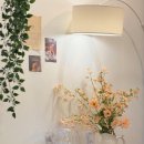 소랑호게 이미지