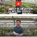 상상야채과일