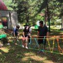 솔향공원 소나무전시관 이미지