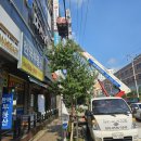 정석 당구장 이미지