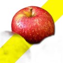 사과 이미지