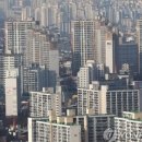 선우부동산 이미지