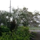 서광농장 이미지