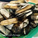 호동바닷가가든 이미지